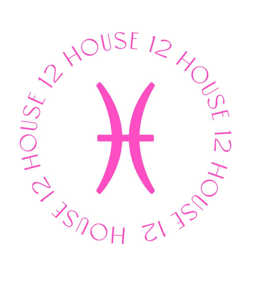 House 12 Accessories