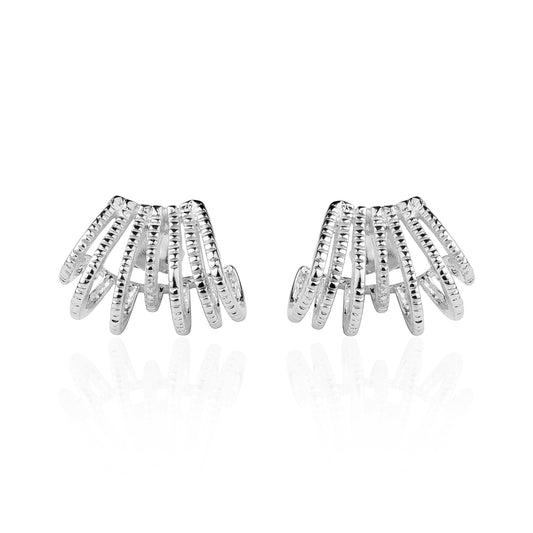 silver earrings